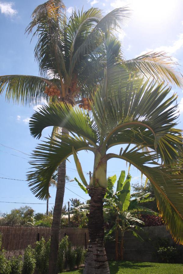 Jolie Case Creole, Lagon A Pied, Jardin แซ็งต์-จีลส์-เลส์-แบ็งส์ ภายนอก รูปภาพ